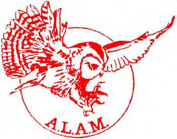 ALAM Summer Conference 2025