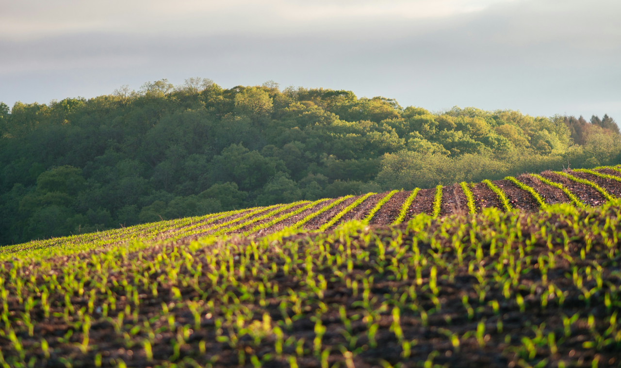 Institution of Agricultural Engineers