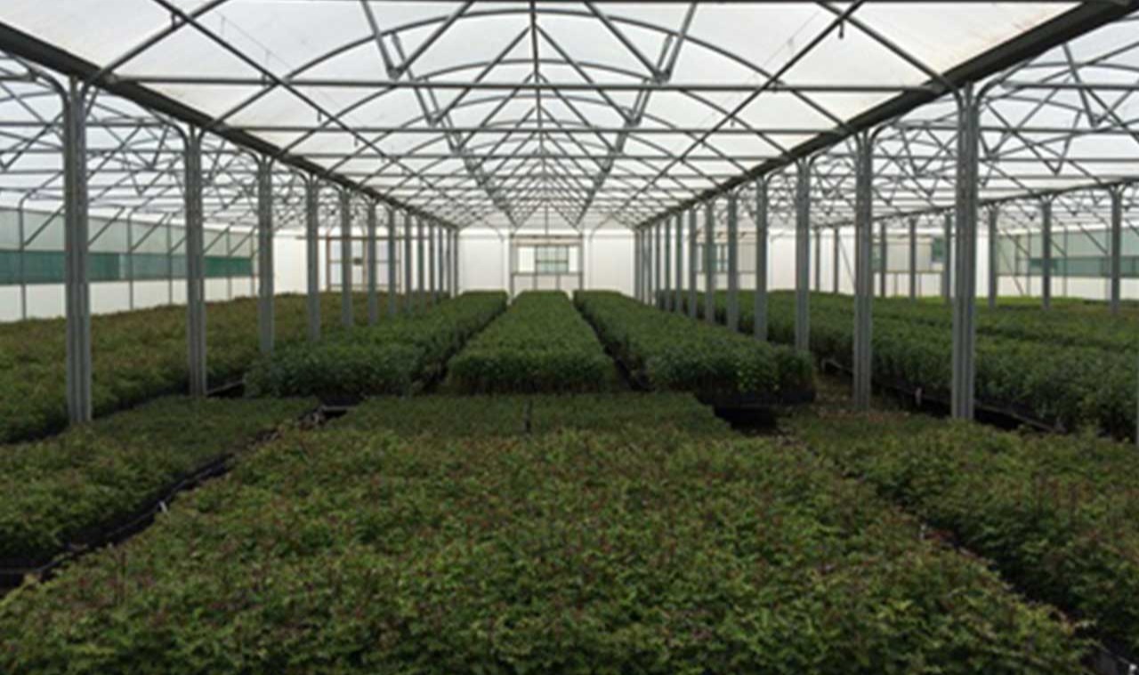 Lunchtime Lecture - Automating Tree Nurseries
